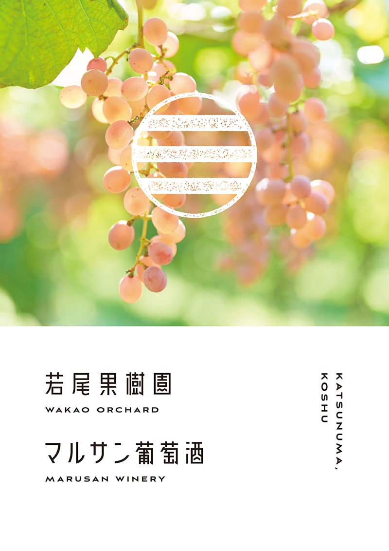 若尾果樹園／マルサン葡萄酒のリーフレット